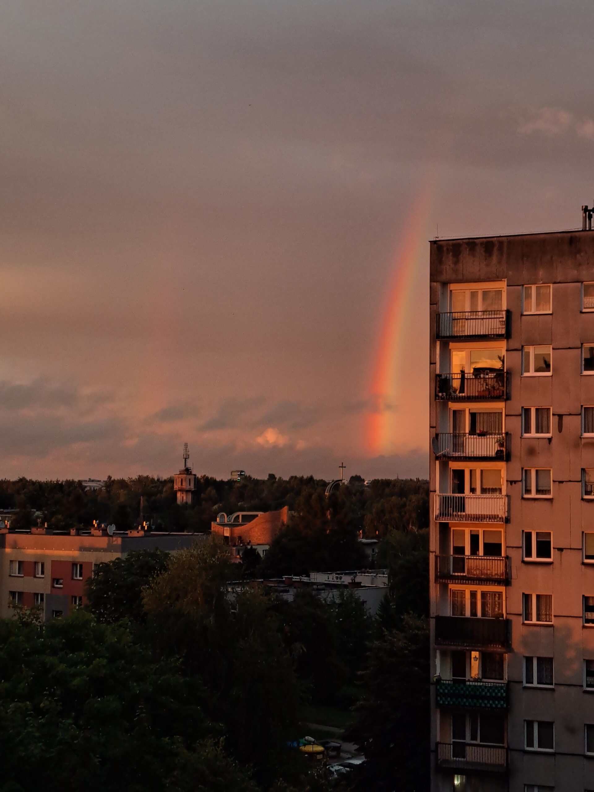 Gryfny Dron