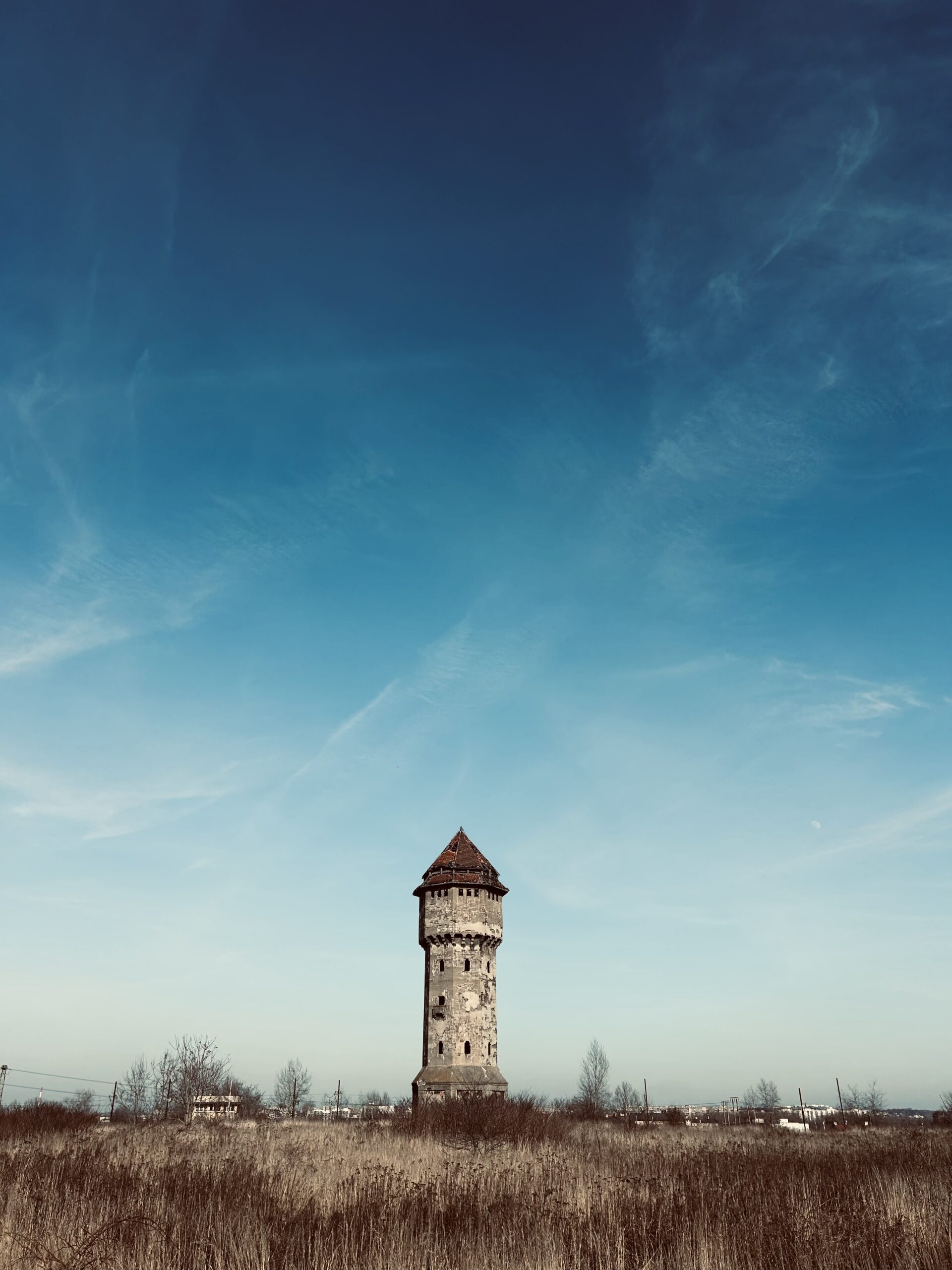 Gryfny Dron